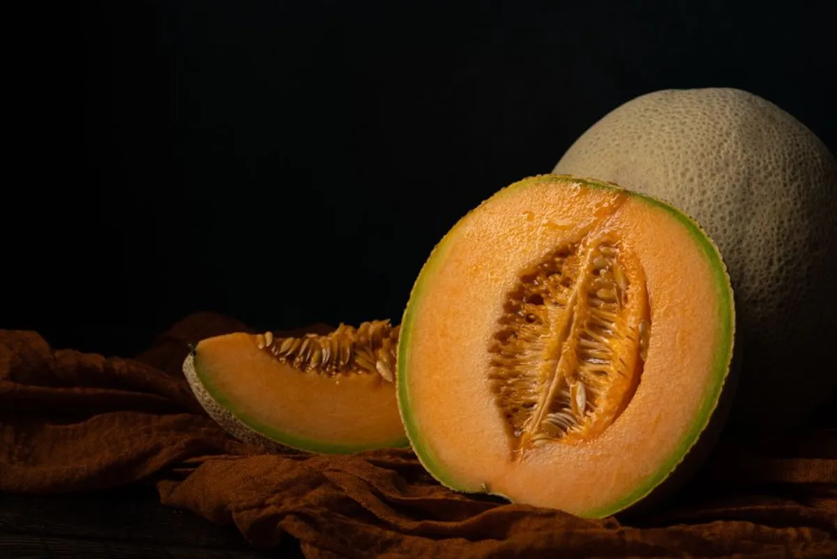 cantaloupe fruit