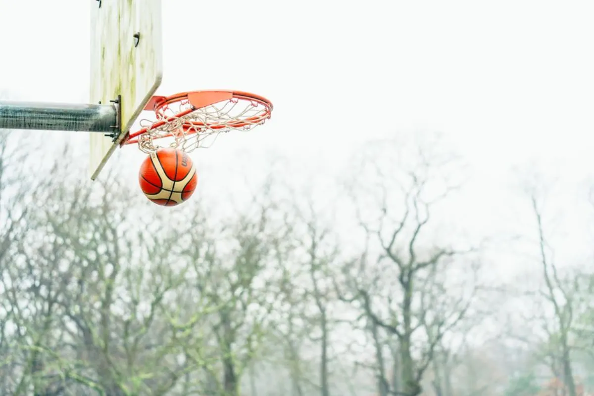 basketball news