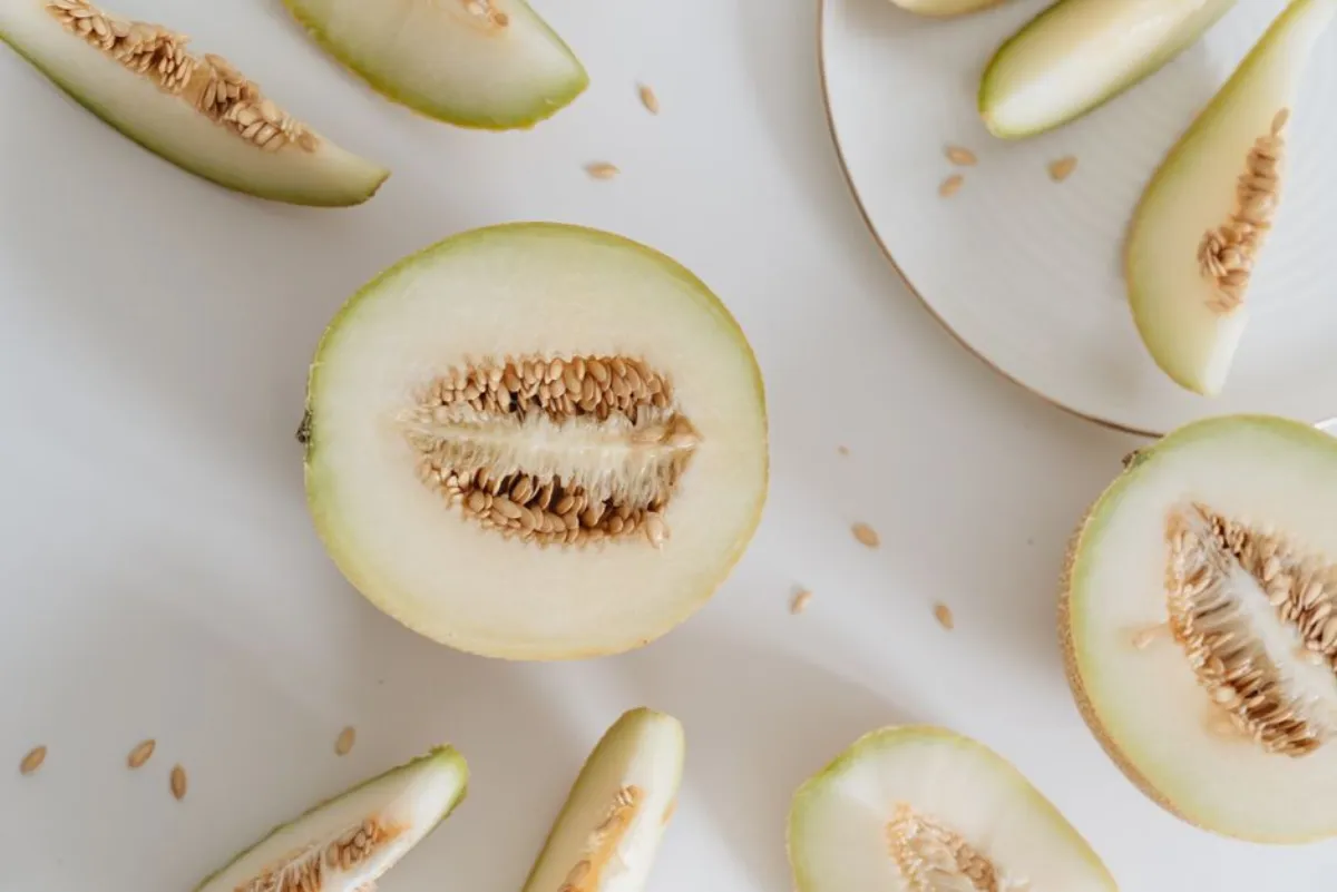cantaloupe pregnancy