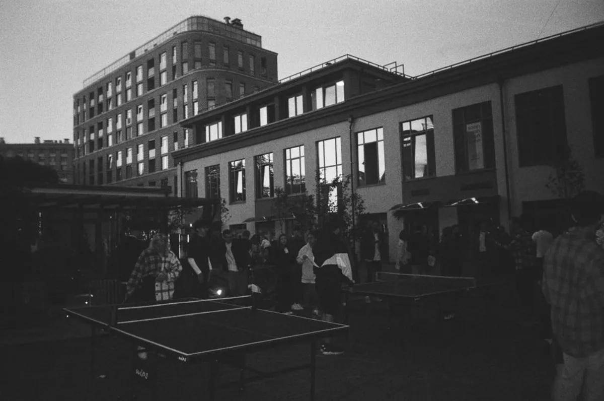 table tennis table