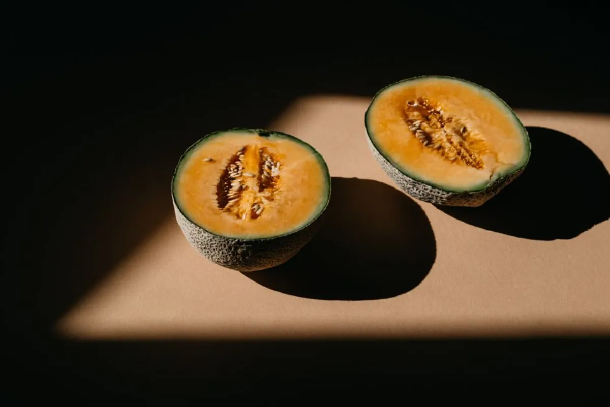 cantaloupe pregnancy