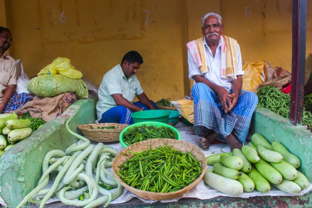 snake gourd