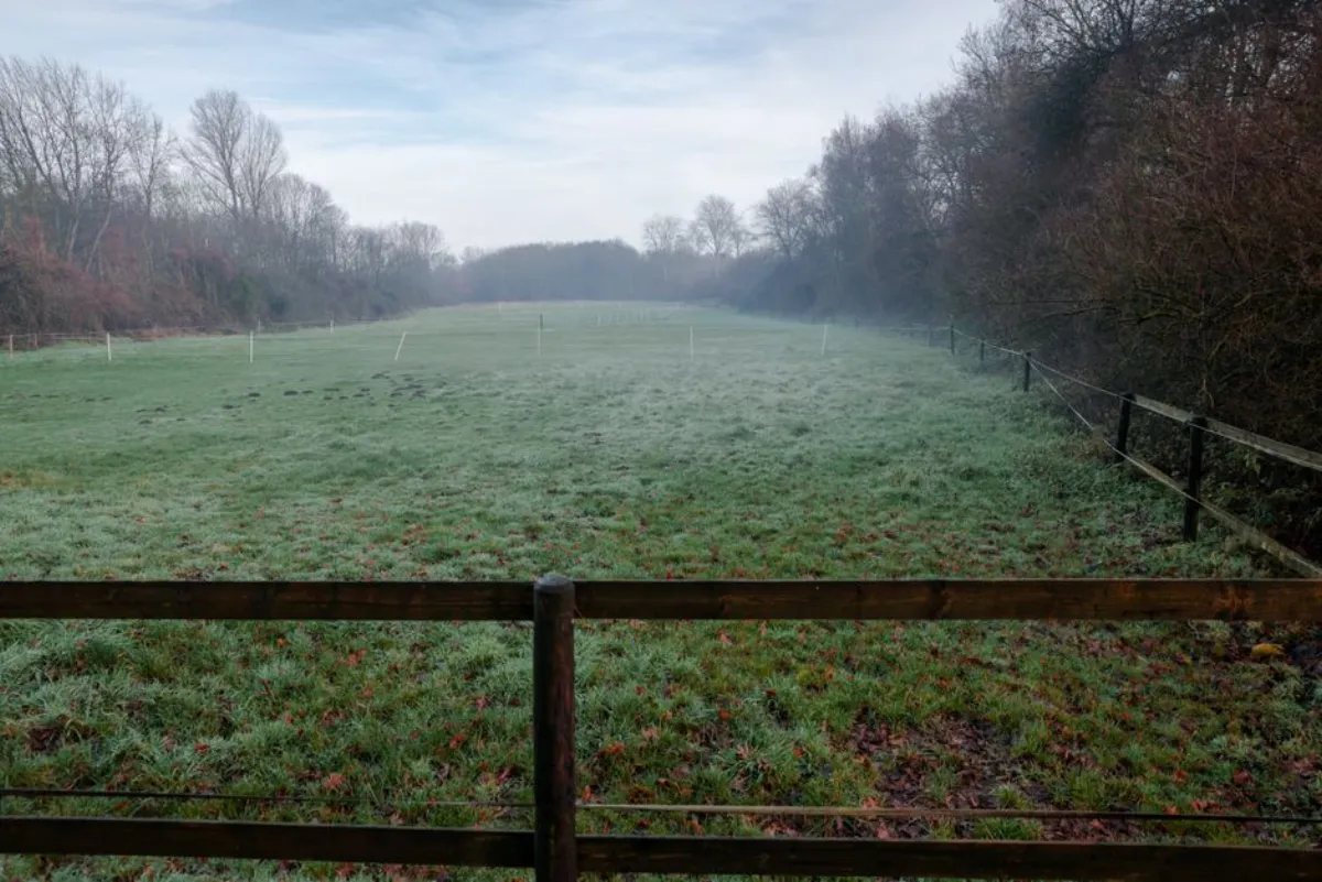 boundary line