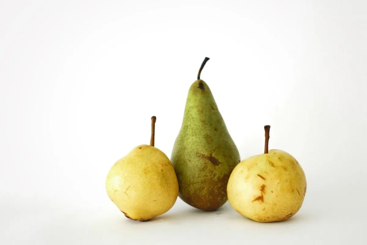 pear comparison