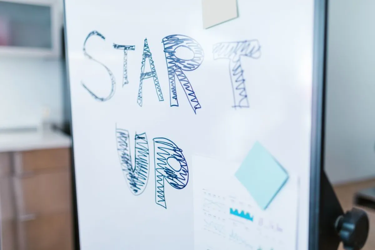 startup choice