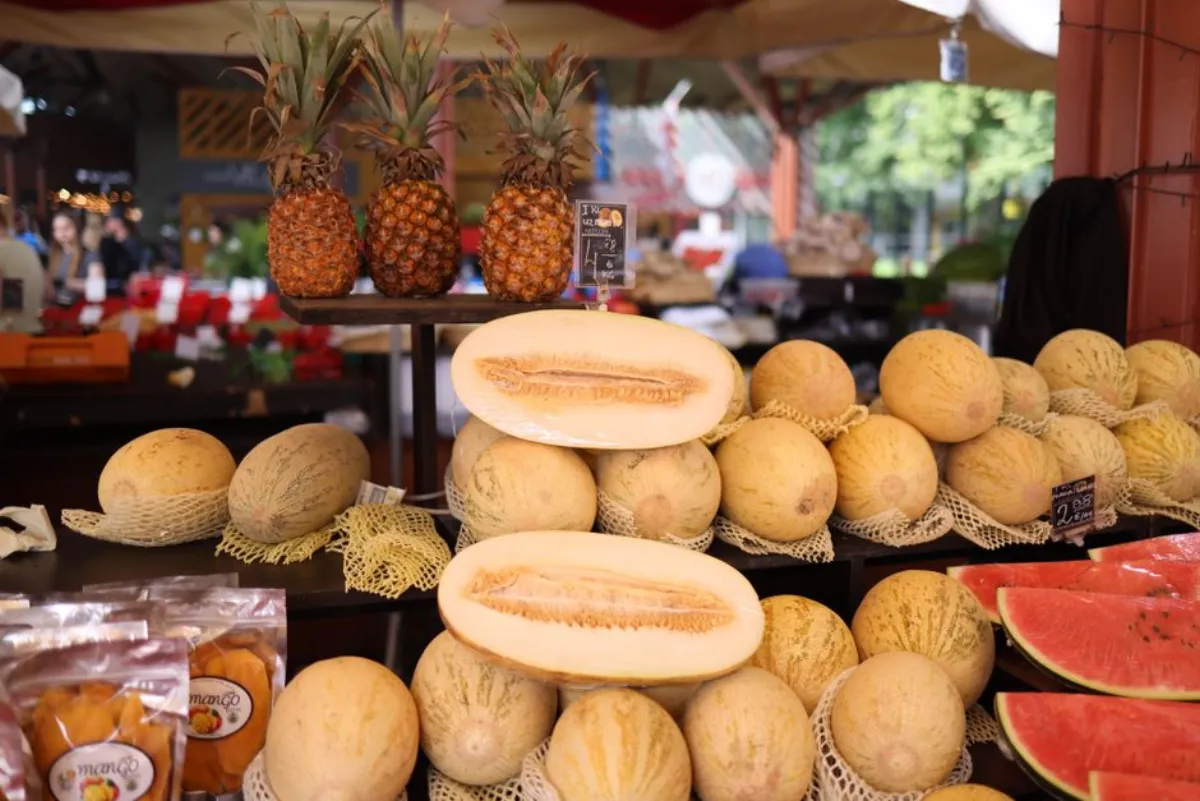 cantaloupe melon