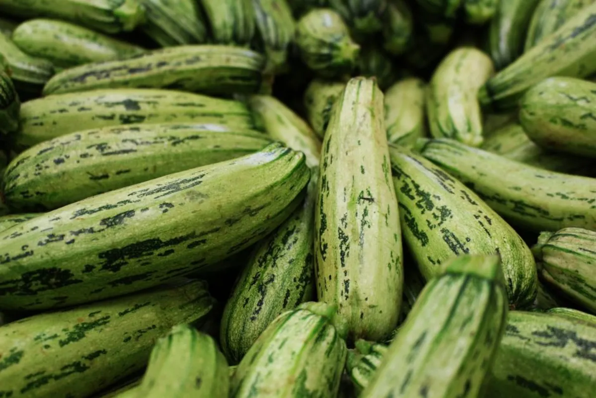 cucumber zucchini