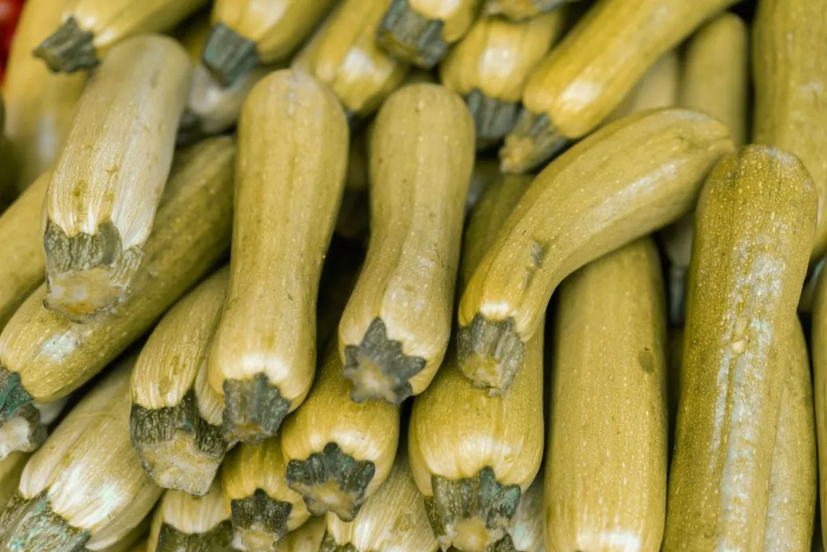 zucchini cooking